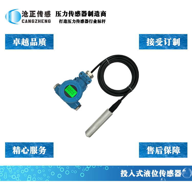 滄正分體式投入式液位傳感器